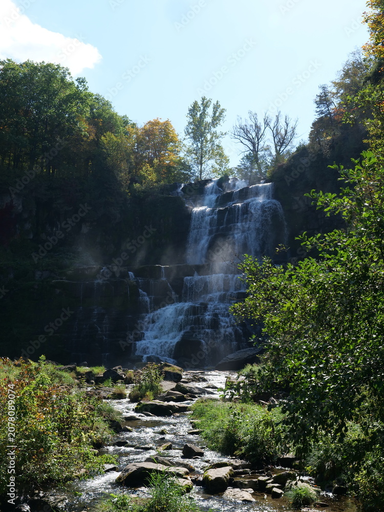 Fototapeta premium waterfall in the mountains portrait
