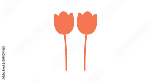 Two orange tulips flat vector illustration on a white background