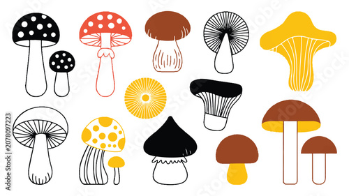 A comprehensive collection of various mushrooms and fungi illustrations in different colors and shapes.