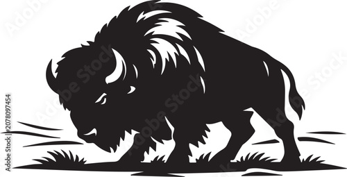 American Bison Grazing On Prairie Grass