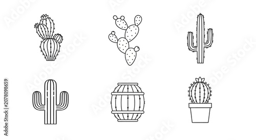 Variety of Cactus Plants Collection