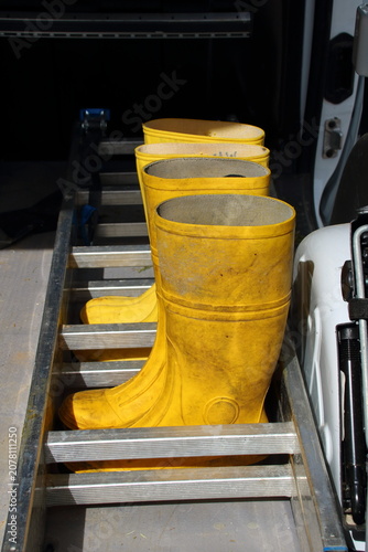 2 Paar Gummistiefel stehen zwischen den Sprossen einer Leiter auf einer Ladefläche