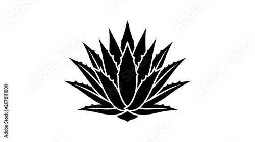A minimalist black silhouette of an agave plant on a white background.