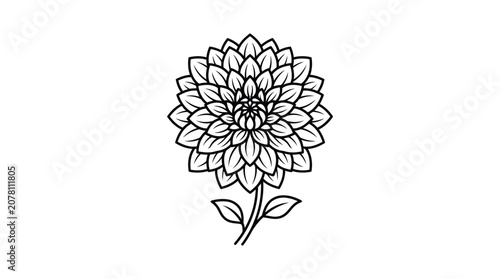 A detailed black and white line art illustration of a blooming dahlia flower.