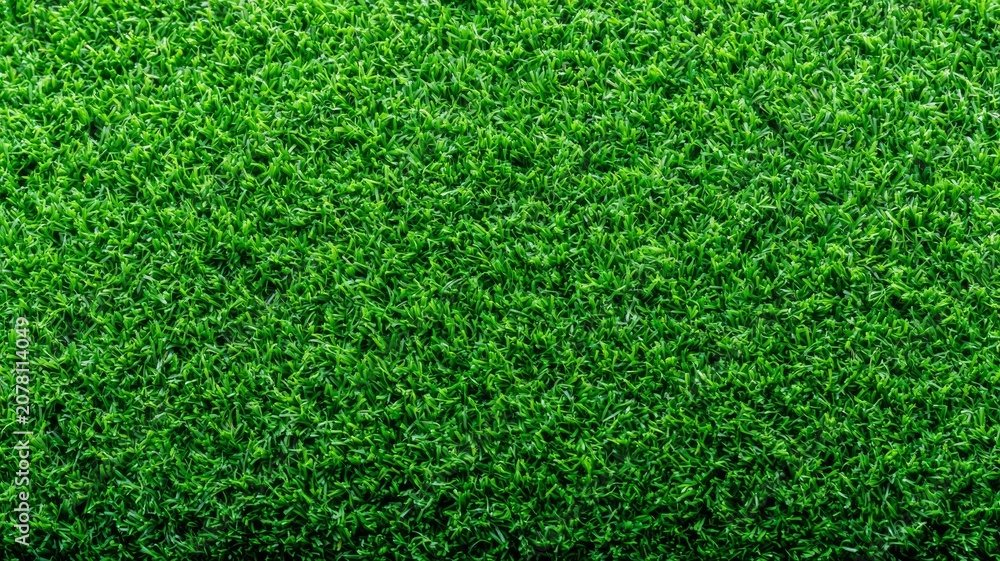 Obraz premium Green grass texture creating a background, surface symbolizing nature, growth, and environmental concepts