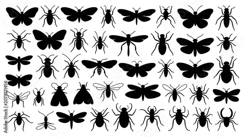 set of black silhouettes of butterflies