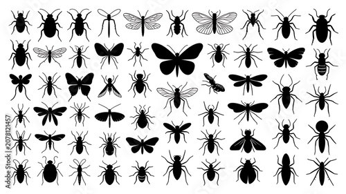 set of black silhouettes of flowers