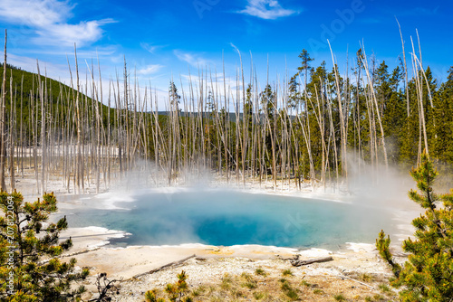 Fotografia Scenic turquoise pool at Norris Geyser Basin