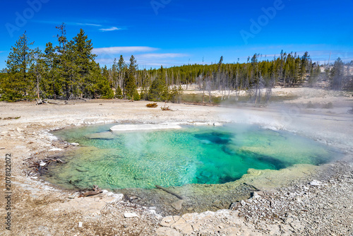 Canvas-taulu Scenic turquoise pool at Norris Geyser Basin