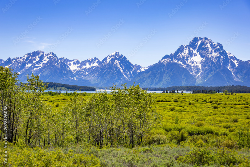 Fototapeta premium Scenic Green Valley Teton Mountains Background