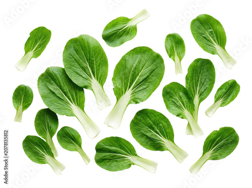 Scattered fresh bok choy leaves arranged on a clean white background for culinary use