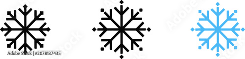 Slika na platnu Set of winter snowflake icons in various styles with snowflake christmas decorat