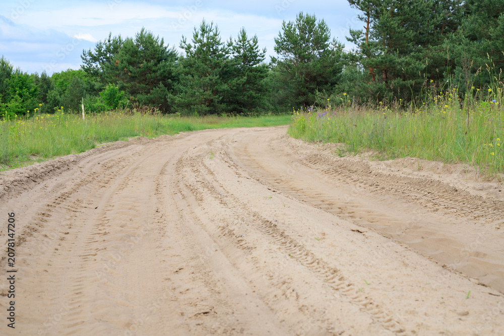 Fototapeta premium Sandy country road through a field turns into the forest. Dirt road stretches past a pine forest under an overcast sky