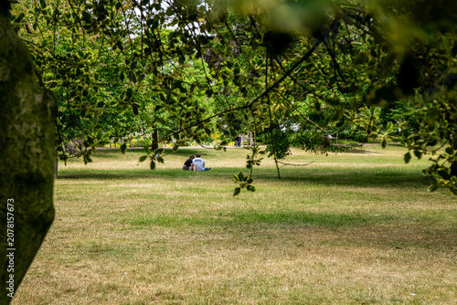 Schilderij op canvas Public park in the United Kingdom during a period of hot, dry summer weather