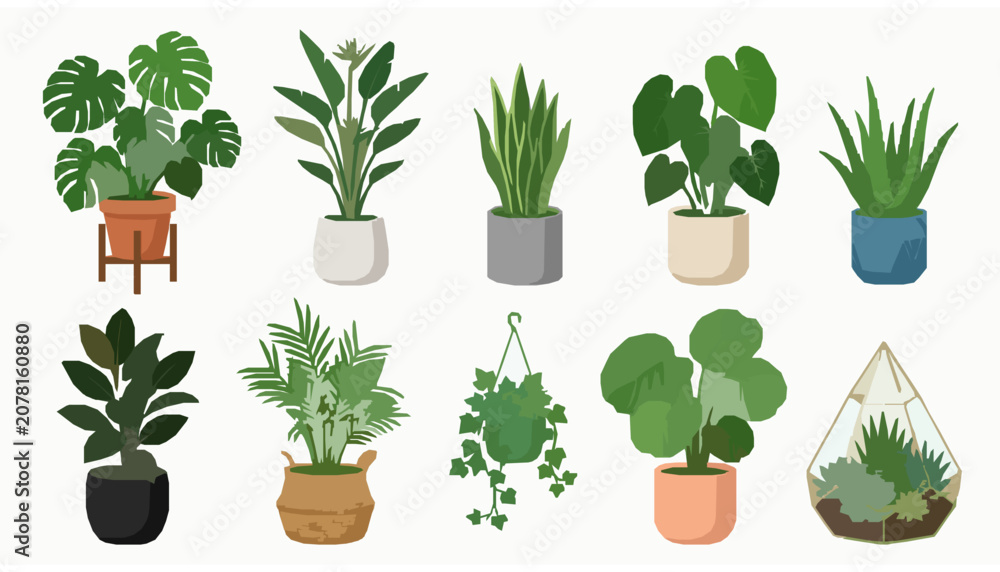 Fototapeta premium Modern Houseplant Collection Flat Vector with Decorative Indoor Plant Pots