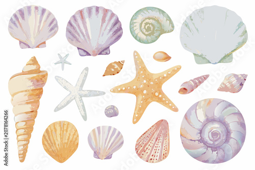 Photos Watercolor seashell collection with various spiral and fan shaped marine mollusk