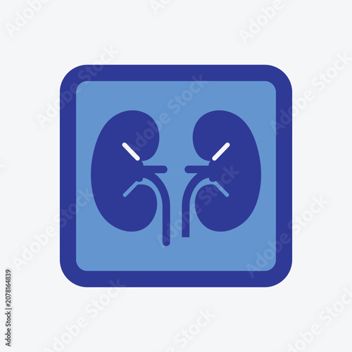 Kidney organ icon blue and white flat design with rounded square frame