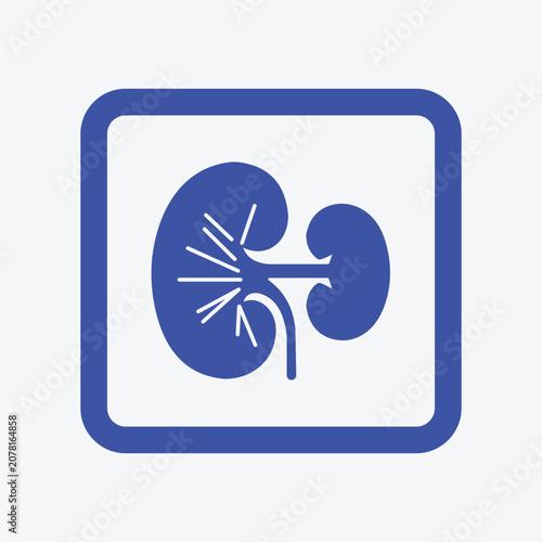 Kidney organ icon flat blue design with white background and square frame