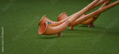 Traditional Swiss alphorns (Alpenhorn) resting on bright green grass. Perfect for concepts of Swiss culture, traditional music, Alpine/Swiss heritage, and folk instruments. National symbol of Swiss.