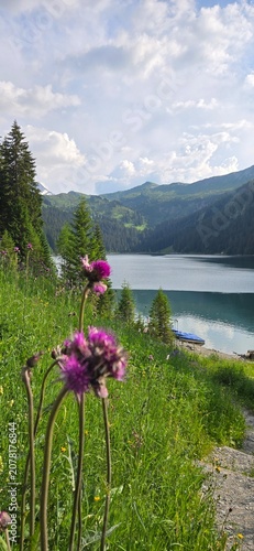 A vertical view focusing on vibrant pinkish-purple alpine wildflowers growing on a lush green grassy slope, with a calm lake, dense pine forests, and rolling mountain ridges under a cloudy sky in the 
