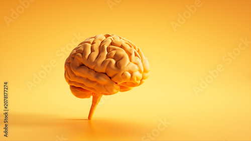 Isolated yellow brain on yellow background with copy space - 3D illustration
