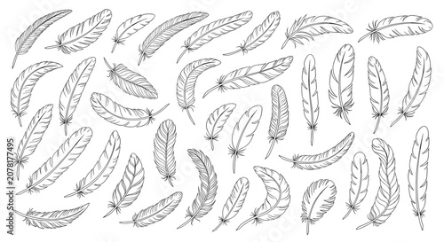 Large set of diverse hand-drawn feather illustrations featuring various shapes, sizes, and textures in a classic black and white sketch style.