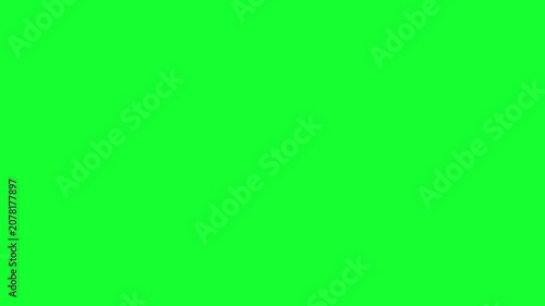 Mathematical Curves (Linear, exponential, quadratic, logarithm, sine-cosine, logistic and rational) animation isolated on green screen.