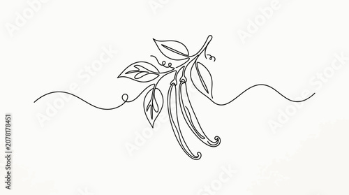 Continuous line drawing of vanilla beans and leaves.