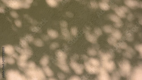The shadow of the foliage casted by the sunset light