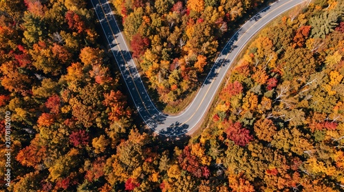 Aerial view, autumn forest, winding road, fall foliage, landscape