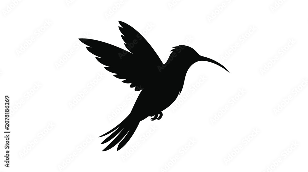 Fototapeta premium Hummingbird In Flight Black Silhouette Against White Background