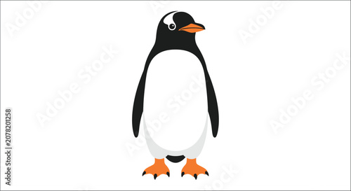 Canvastavla Gentoo penguin illustration flat vector graphic on a white background antarctic