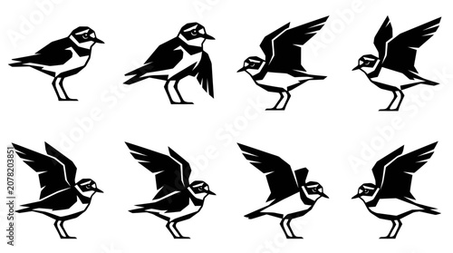 Bild auf Leinwand Bird Plover Silhouette Set: Standing and Flying Poses