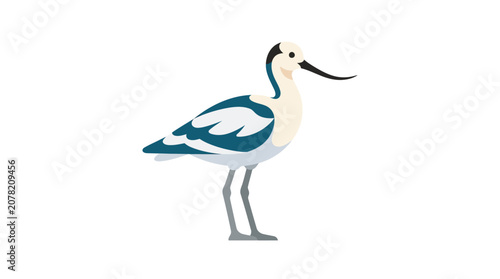 Fotografija Avocet Bird Illustration - Elegant Waterfowl with Curved Beak on White Backgroun