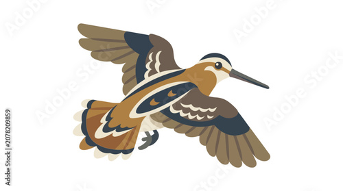 Foto Woodcock Bird Flying Isolated White Background Illustration