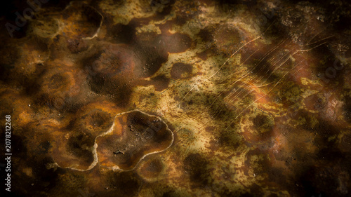 фотографія Abstract rusty metal texture with organic corrosion patterns, weathered industri