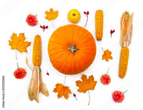 Autumn composition with yellow pumpkin, corn cobs, maple leaves and dahlia flowers on white background, flat lay