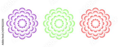 flower gradient bundle png