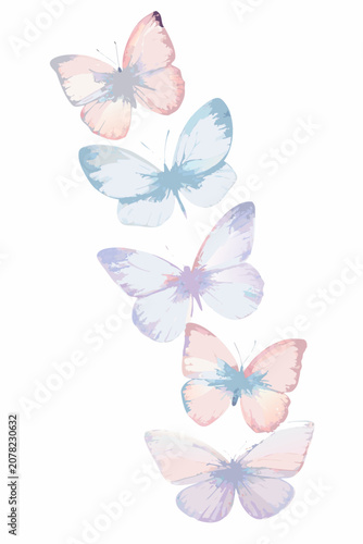 Obraz na plátne Pastel Watercolor Butterfly Collection Against A White Background butterflies le