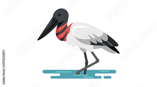 Jabiru Stork Bird Standing in Water, Flat Design Illustration