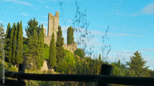 Castello fortress walls and towers in tuscany, italy. Medieval castle walls rising behind dense cypress and pine trees, framing historic stone architecture against vibrant blue summer sky