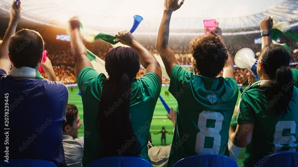 Fototapeta premium Rear view of football supporters holding drink cup while facing pitch, waving scarves for football fan and match day concepts.
