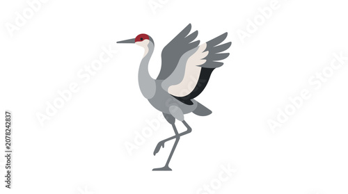 Sandhill Crane Bird Standing on One Leg with Wings Outstretched