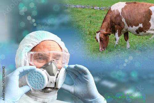Konstfotografi scientist, researcher studies livestock health, safety protocols in modern agric
