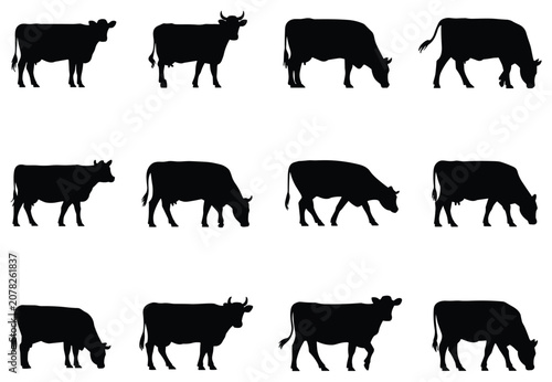 Bild auf Leinwand Collection of Cow Silhouettes: A compilation of various black cow silhouettes, showcasing different poses and actions like grazing and standing