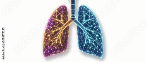 Digital illustration of human lungs with a network of glowing connections, symbolizing respiratory system or lung health in a modern, technological style.