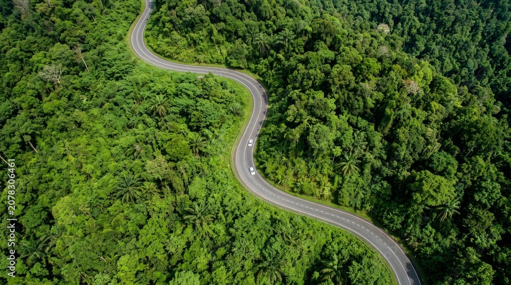 Fototapeta premium Forest highway background designed for commercial use, supporting themes of energy transition, carbon reduction, and corporate sustainability initiatives