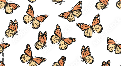 Photos Monarch butterflies in flight pattern.