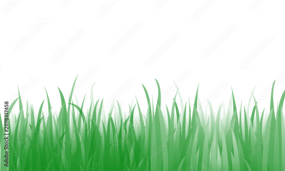Obraz premium Fresh Green Grass Field Close Up with Soft Natural Lighting