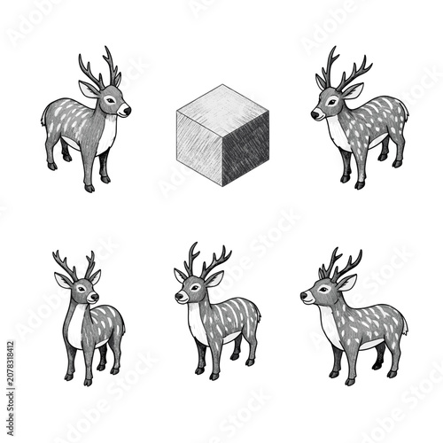 Deer and Cube - A Study in Contrasts and Composition.